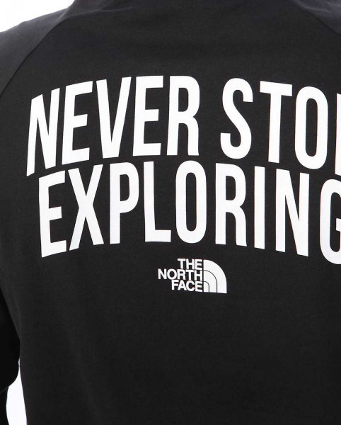 Лонгслив мужской The North Face NSE T-Shirt 100 (M черный)