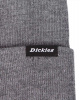 Шапки вязаная Dickies 1922 Alaska (OS Dark Grey)