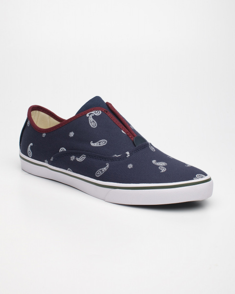 Кеды Gravis Dylan Slip On MNS (41.0 синий с узорами)