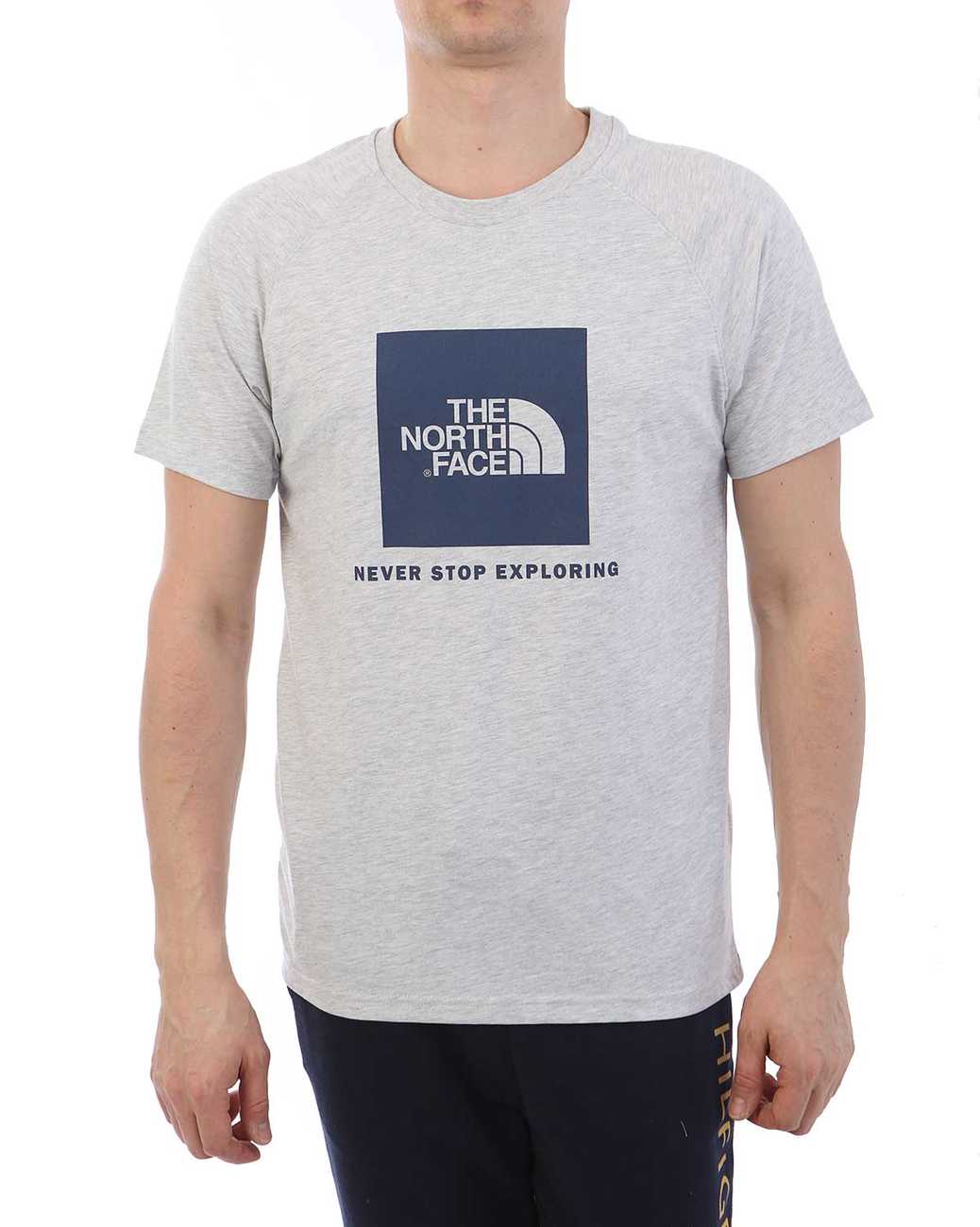 Футболка The North Face 000035557