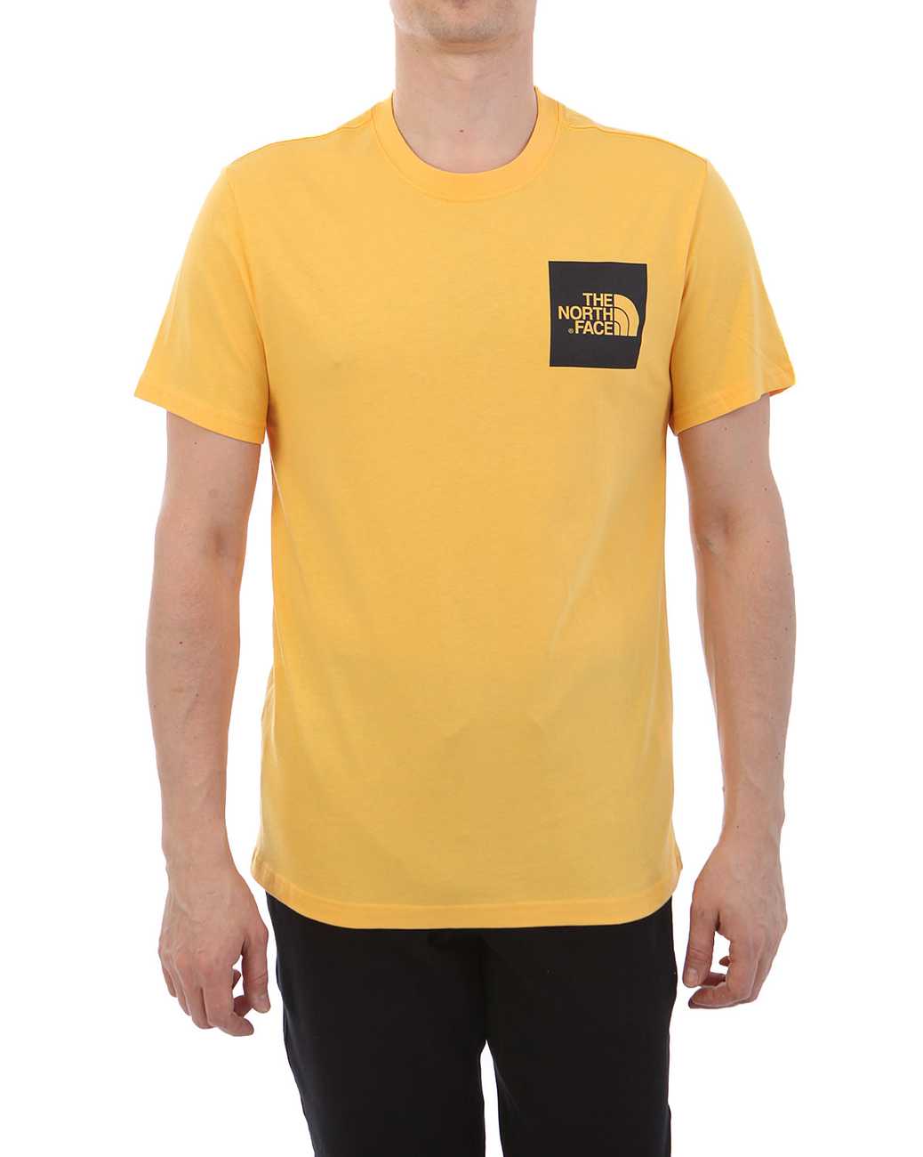 Футболка The North Face 000035548