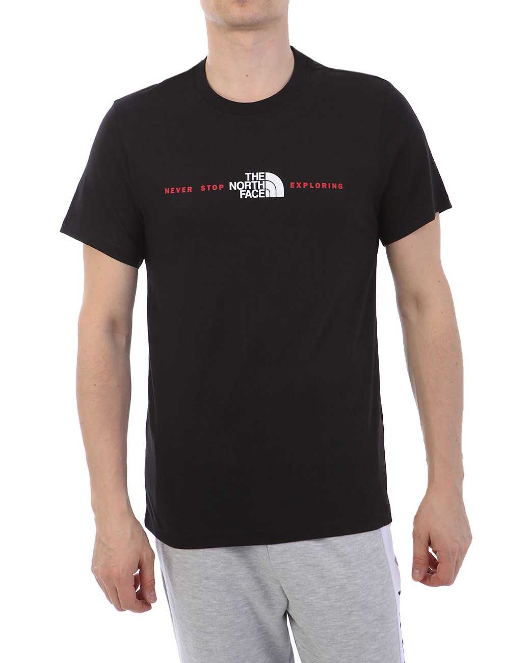 Футболка The North Face 000035533