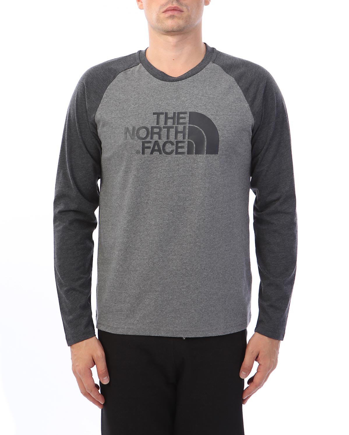 Футболка с длинным рукавом The North Face T-Shirt Grey 90 10
