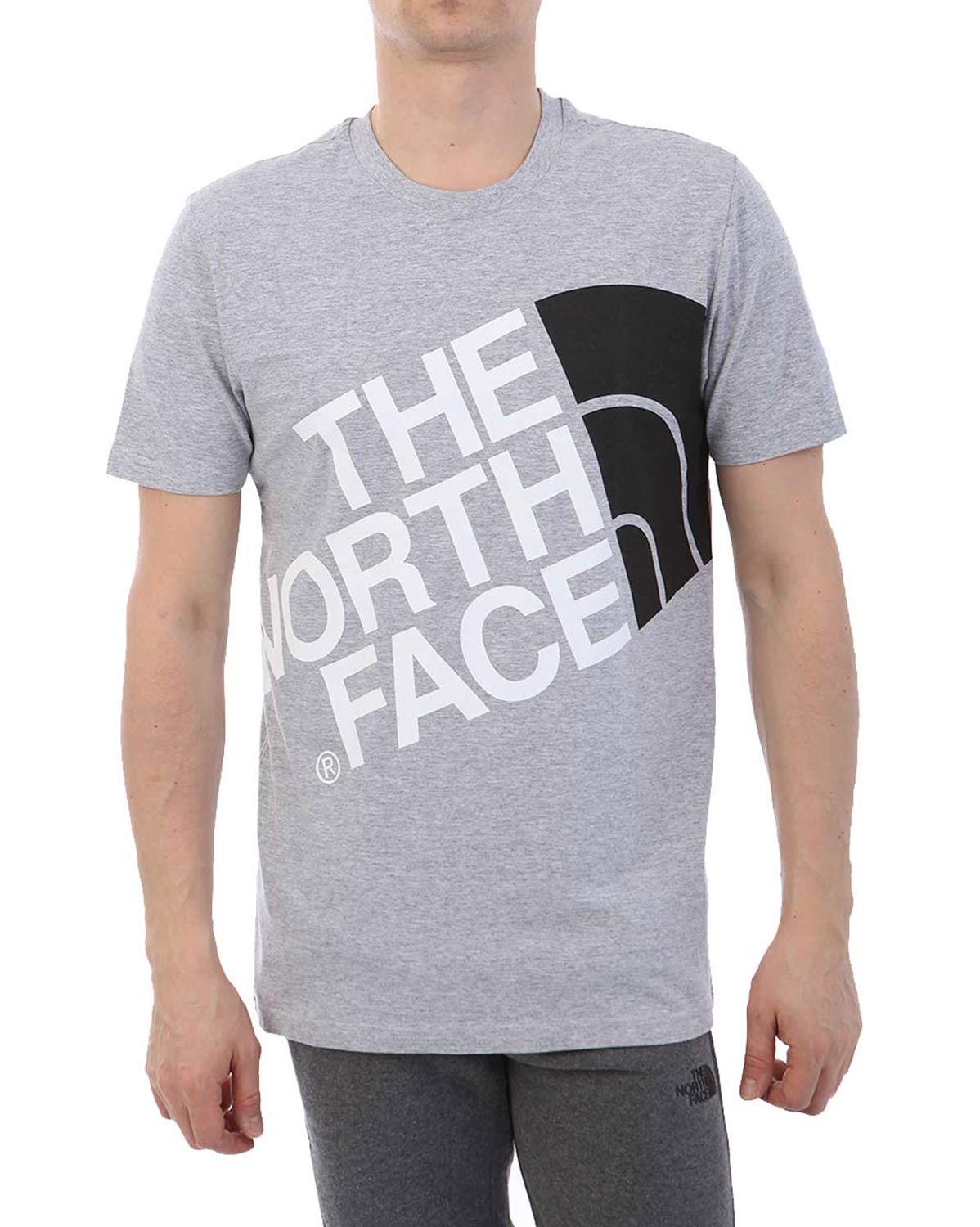 Футболка The North Face 000035512
