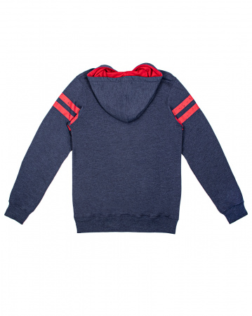 Толстовка Iriedaily Team Hoody (L синий)