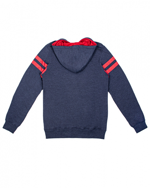 Толстовка Iriedaily Team Hoody (L синий)