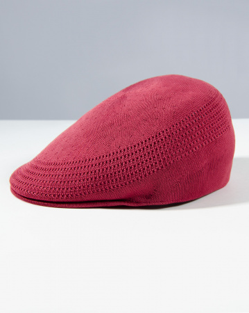 Кепка Kangol Tropic 507 VENTAIR K3208HT (RV605 L)