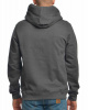 Толстовка мужская с капюшоном Iriedaily Hipster Hoody Anthra Mel (L темно-серый)