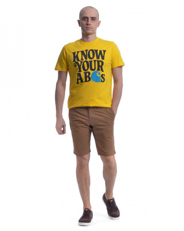 Футболка Carhartt S/S Abcs (S лимонный)
