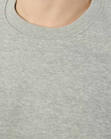 Толстовка свитшот Champion Authentic American EM006 RS509 (M серый золотой)
