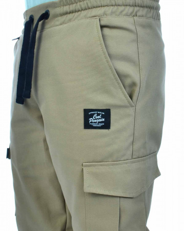Джоггеры мужские на флисе Cool Penguin JMTL 1713W (Beige 3XS)