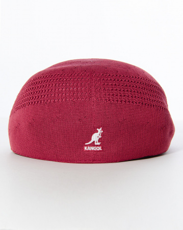 Кепка Kangol Tropic 507 VENTAIR K3208HT (RV605, S)