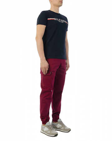 Джоггеры мужские Cool Penguin JMP 1713 (Red Wine L)
