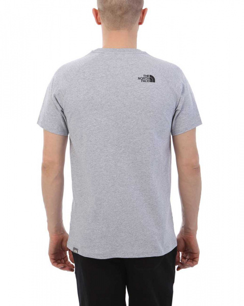 Футболка The North Face 000035542 (L серый золотой)