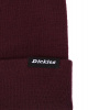 Шапки вязаная Dickies 1922 Alaska (OS бордовый)