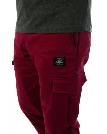 Джоггеры мужские на флисе Cool Penguin JMP 1713W (Red Wine 3XS )