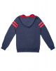Толстовка Iriedaily Team Hoody (S синий)
