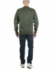 Толстовка мужская свитшот Dickies Mount Vista Sweatshirt (Olive, XS)