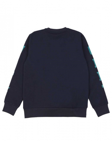 Толстовка свитшот Carhartt Shade Sweat (M синий)