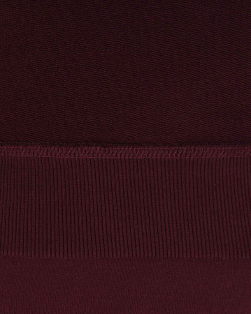 Толстовка мужская свитшот Dickies 1922 Briggsville (XS бордовый)