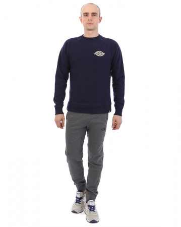 Толстовка мужская свитшот Dickies 1922 Briggsville (XL синий)