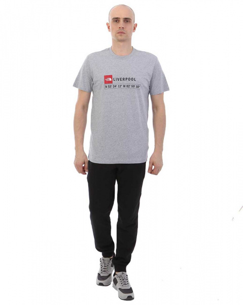 Футболка The North Face 000035506 (S серый золотой)