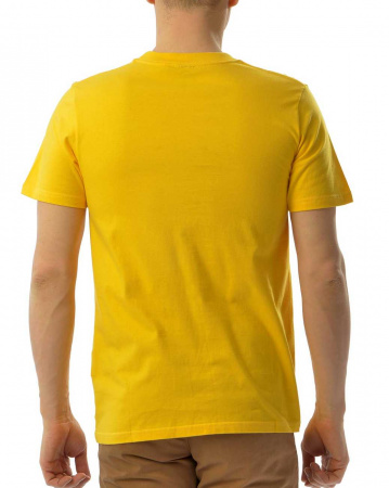 Футболка Carhartt S/S Abcs (S лимонный)