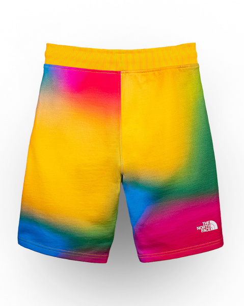 Шорты TNF M STAND SHORT LIGHT (SUPER SONIC BLUE COLOR GRADIENT PRINT L)
