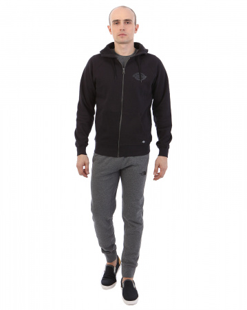 Толстовка мужская с капюшоном Dickies 1922 Evansville (XS черный)