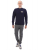Толстовка мужская свитшот Dickies 1922 Briggsville (L синий)