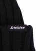 Шапка вязаная Dickies Eagles Mere (OS черный)