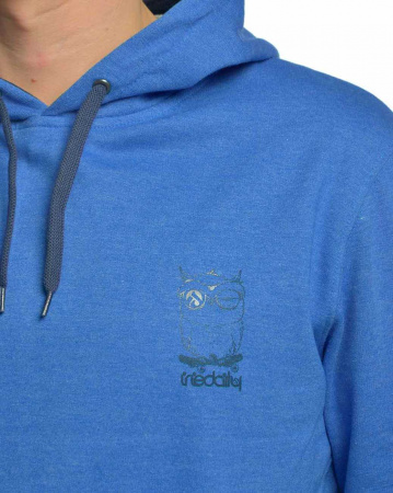 Толстовка мужская с капюшоном Iriedaily Sk8 Owl (M темно-голубой)
