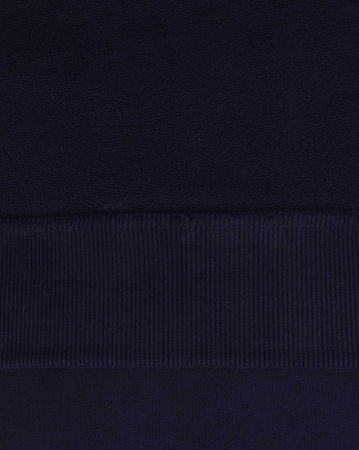 Толстовка мужская свитшот Dickies 1922 Briggsville (XS синий)