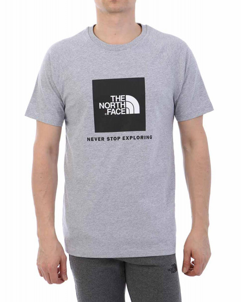Футболка The North Face 000035509 (L серый золотой)