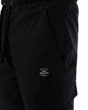 Джоггеры мужские на флисе Cool Penguin JMR 1713W (Black XL черный)
