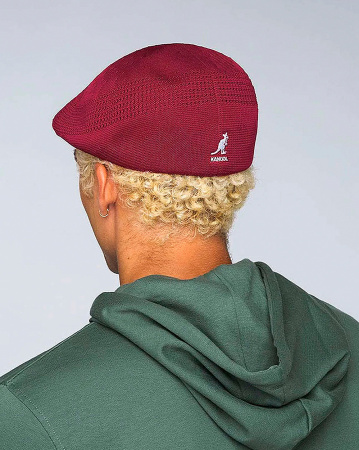 Кепка Kangol Tropic 507 VENTAIR K3208HT (RV605 L)
