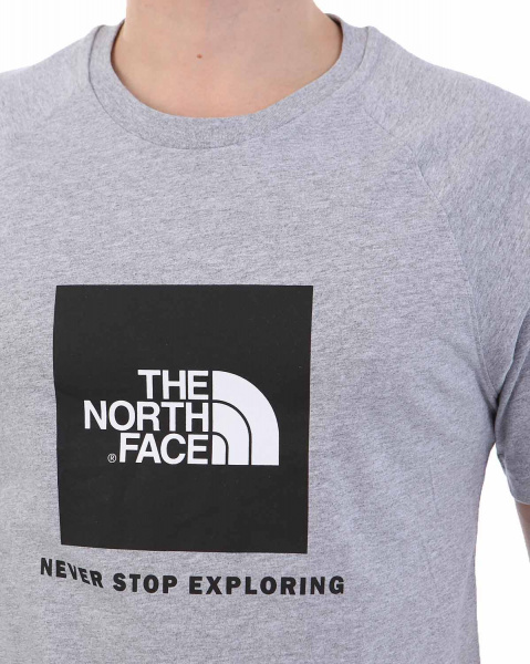 Футболка The North Face 000035509 (L серый золотой)
