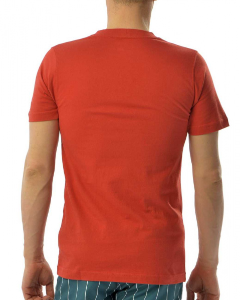 Футболка Carhartt S/S K559 T-shirt Regular (S кирпичный)